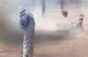 36766_0_i014235119039.gif