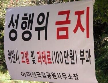 할때마다 100만원씩 버는 운동