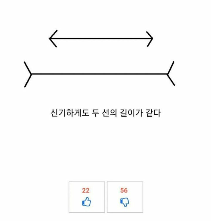 신기한 착시현상