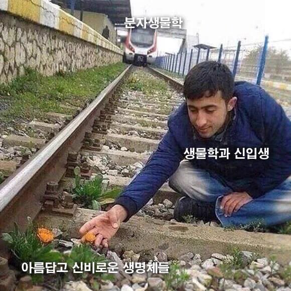 대학생을 괴롭히는 수업들