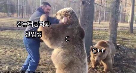 대학생을 괴롭히는 수업들