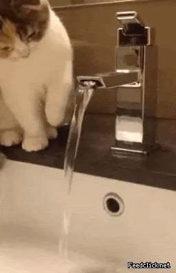 37201_0_i015001134215.gif