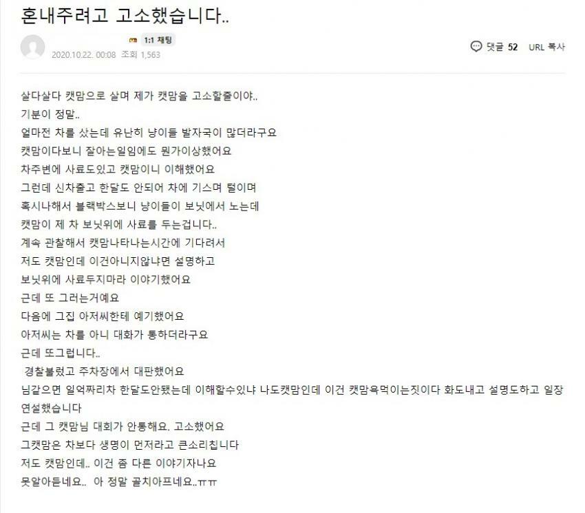 역지사지를 알아버린 캣맘