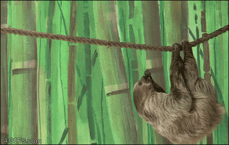37419_0_i013287528368.gif