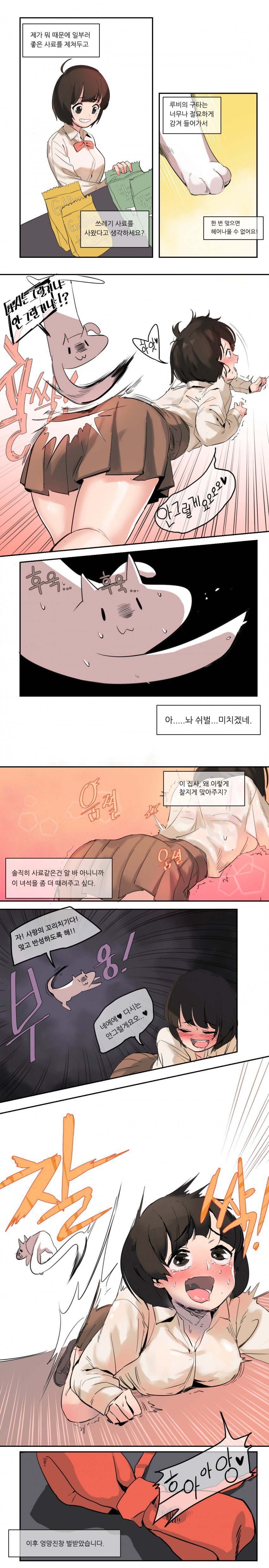 고양이 사료 주는 만화