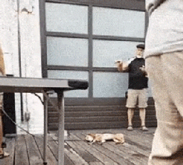 37852_0_i015651510801.gif