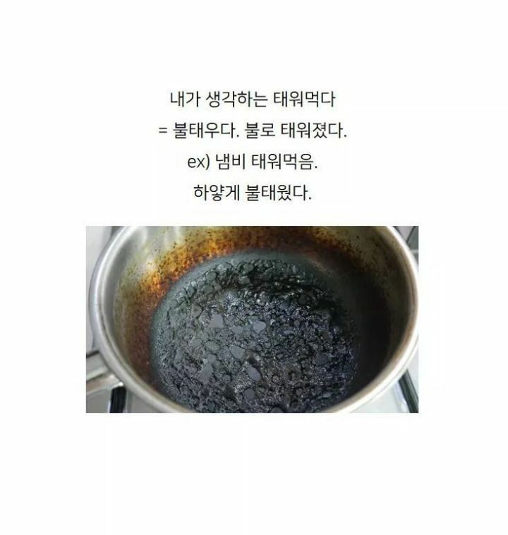 못알아들었던 경상도 사투리.