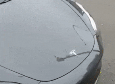 38334_0_i015731935381.gif