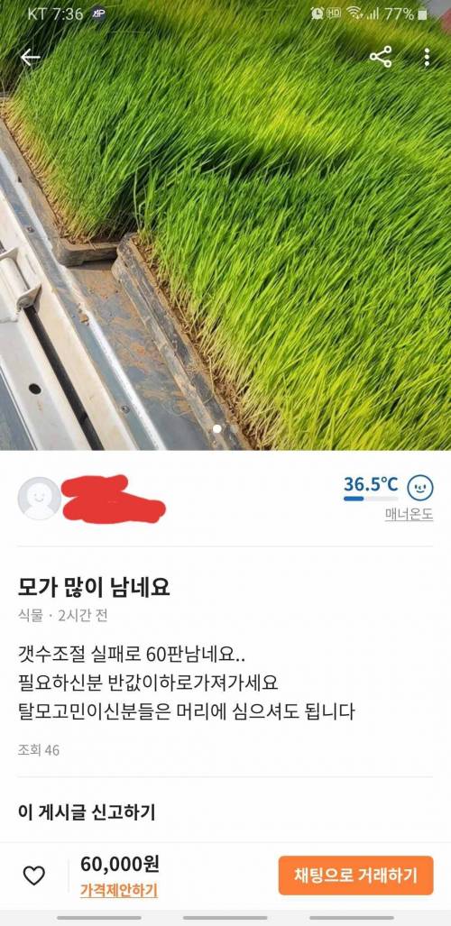 선넘는 당근마켓