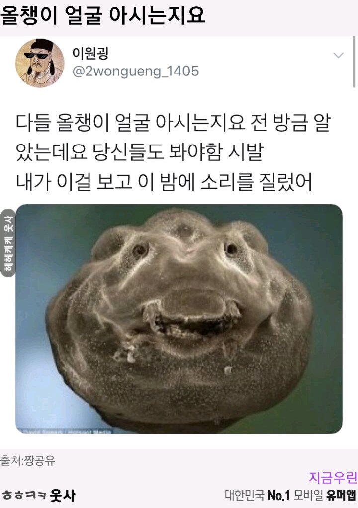 올챙이 얼굴 ㄷㄷ