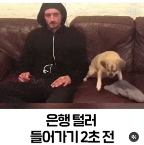 38471_0_i013324458381.gif