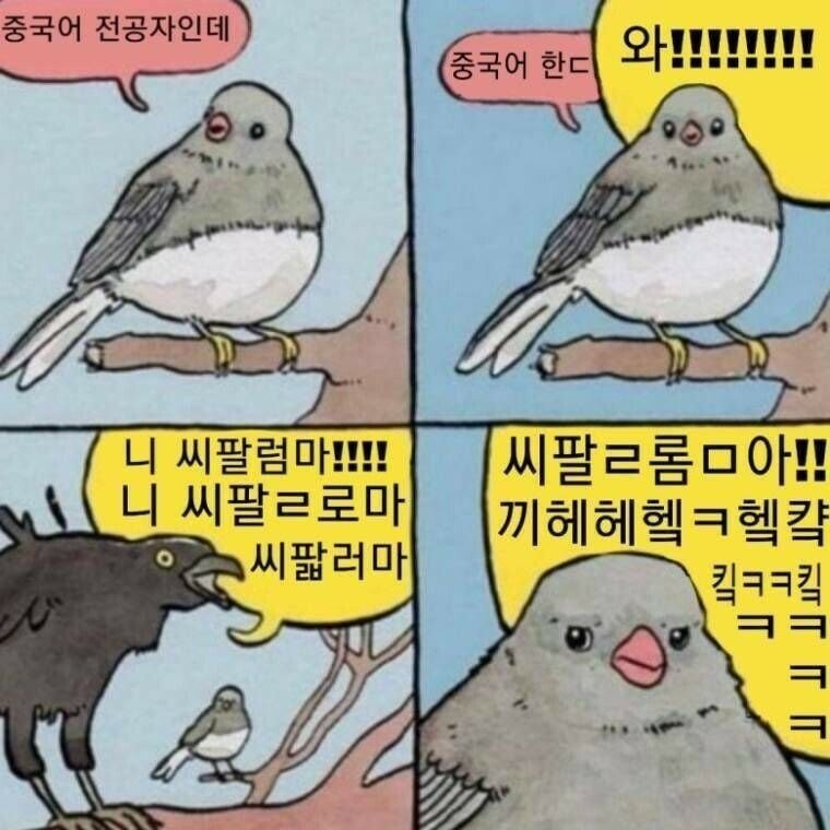 중국어 전공자의 고충