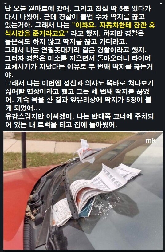 경찰의 불법주차 단속