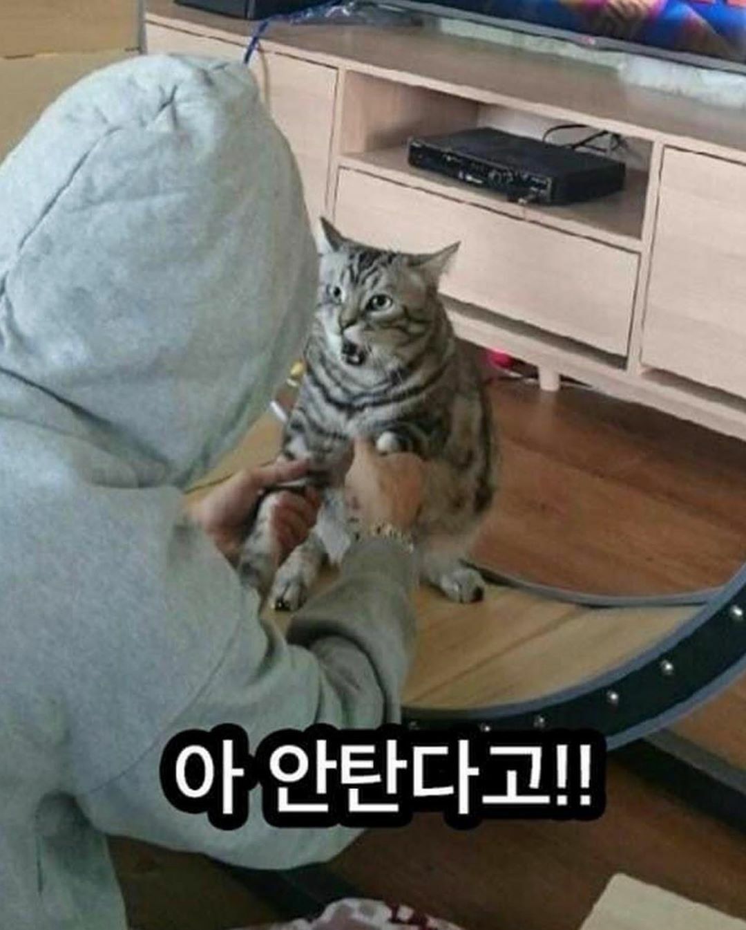 이거 비싸게 산거야 한 번만 타봐 ㅠㅠㅠ .jpg