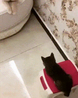 38884_0_i014144859304.gif