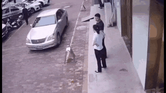 38967_1_i013316203885.gif
