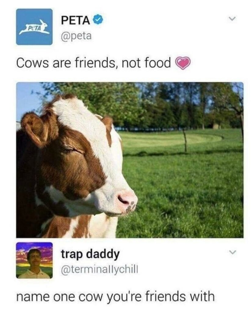 소는 음식이아니라 친구에요!