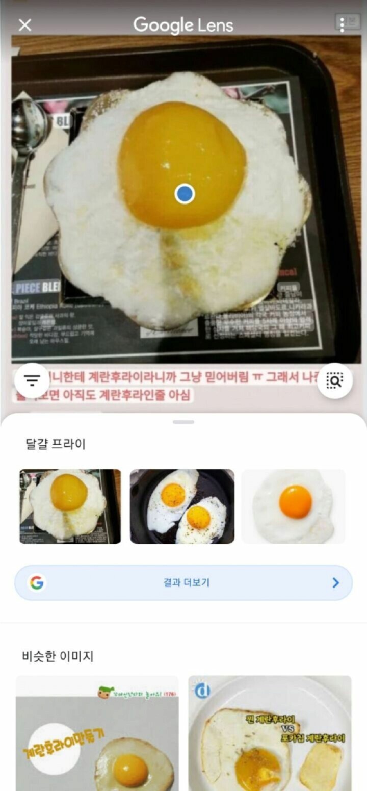 계란 애미도 속겠다.jpg