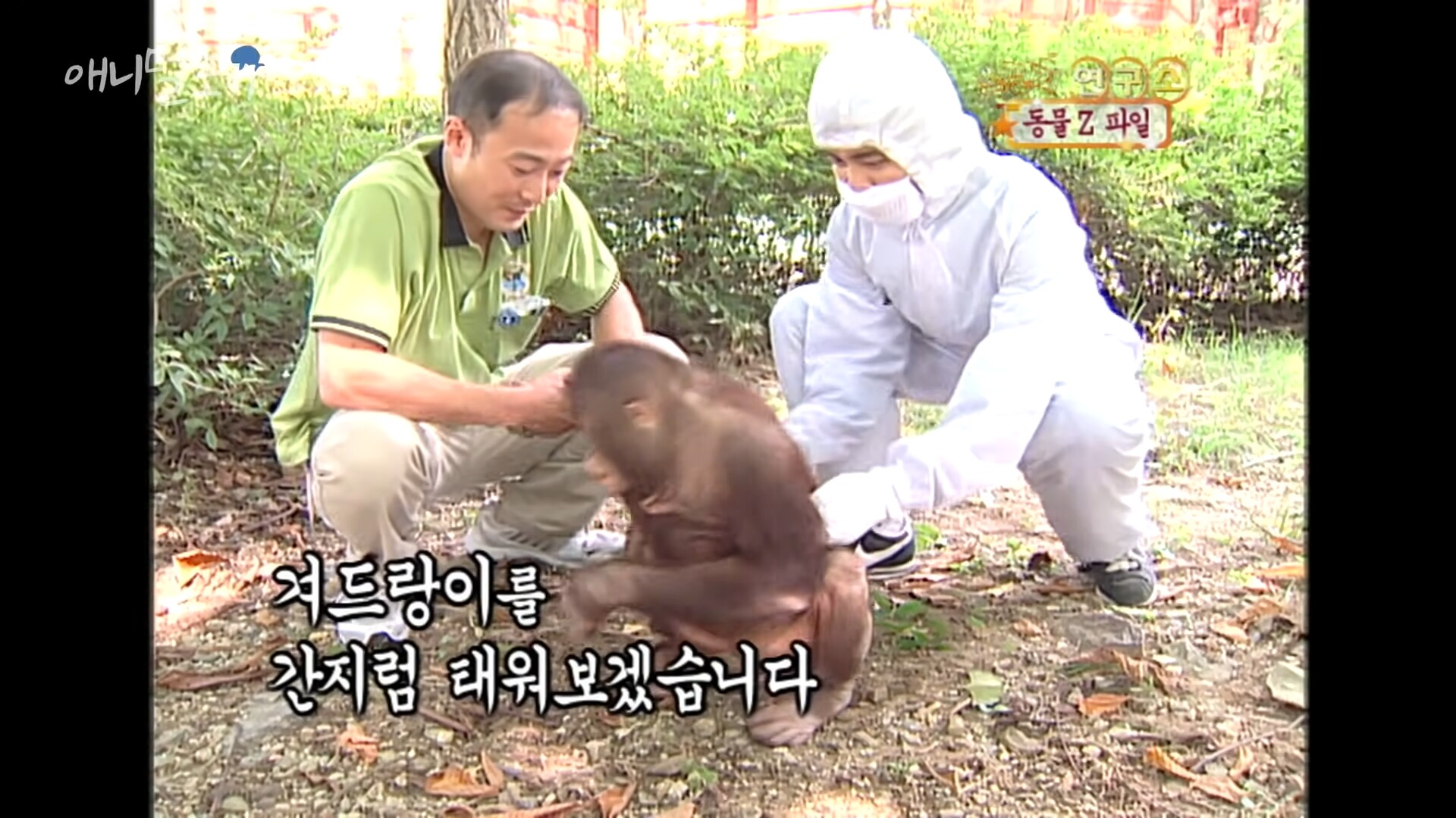 원숭이도 간지럼을 탈까?