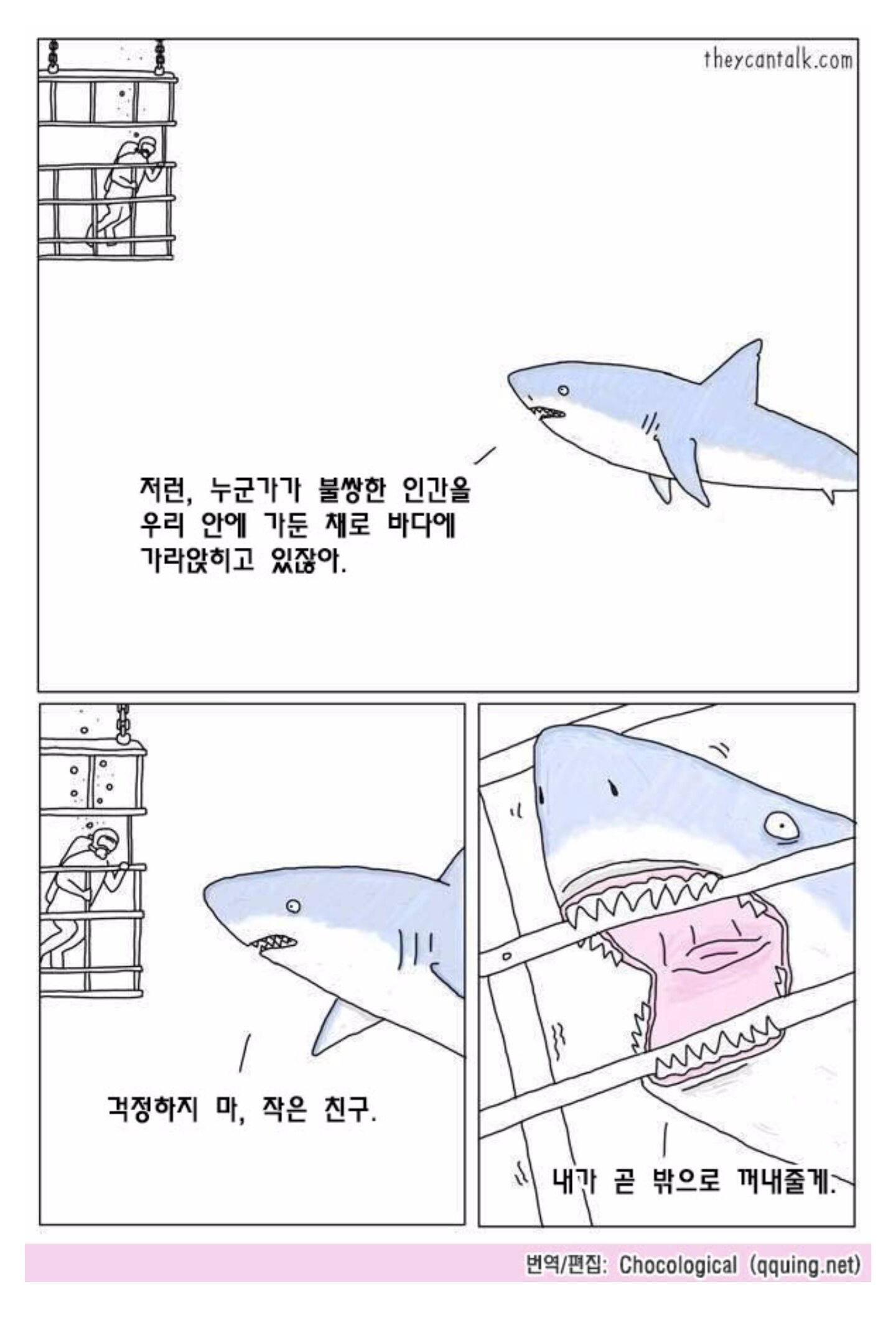 상어에 대한 오해와 진실