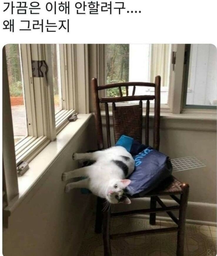 왜저러는지 이해하는것을 포기했다