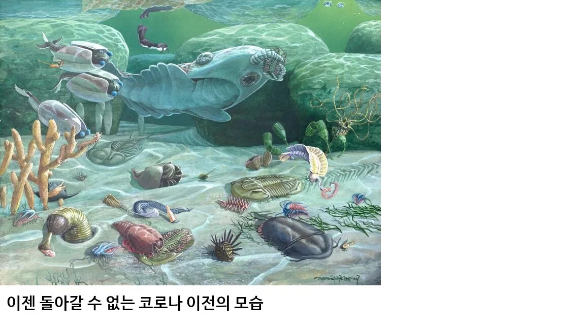 다시는 돌아갈 수 없는 코로나 이전의 모습