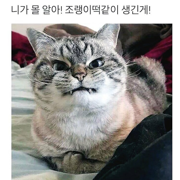 인터넷과 현실이 달랐던 경험s.