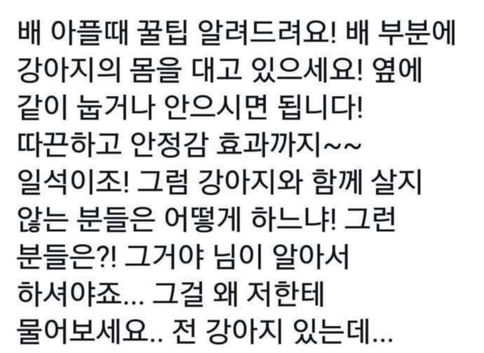 배아플때 꿀팁 알려줌