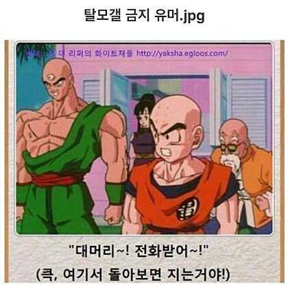 탈모갤 금지짤 모음