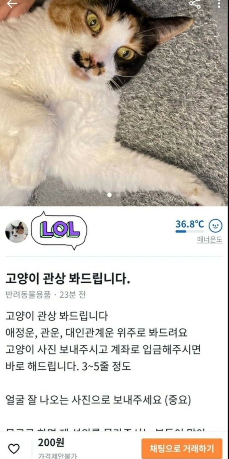 흔한 당근마켓의 관상가