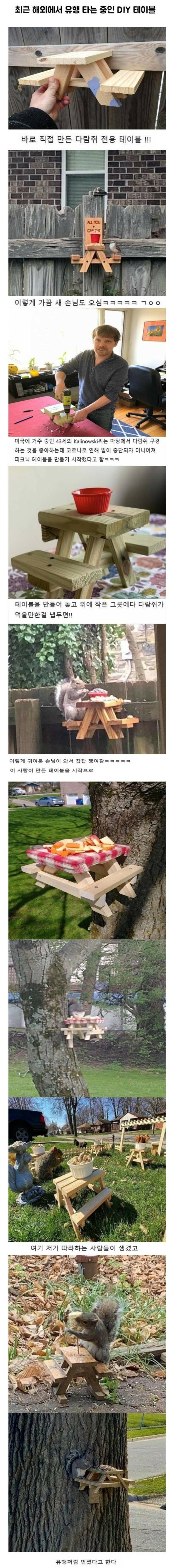 람쥐 전용식탁