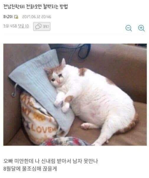 전남친 연락 대처법