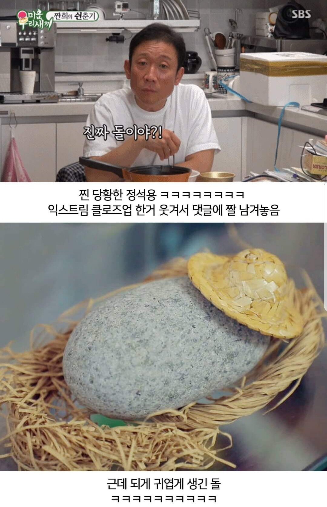 애완돌 키우는 배우.