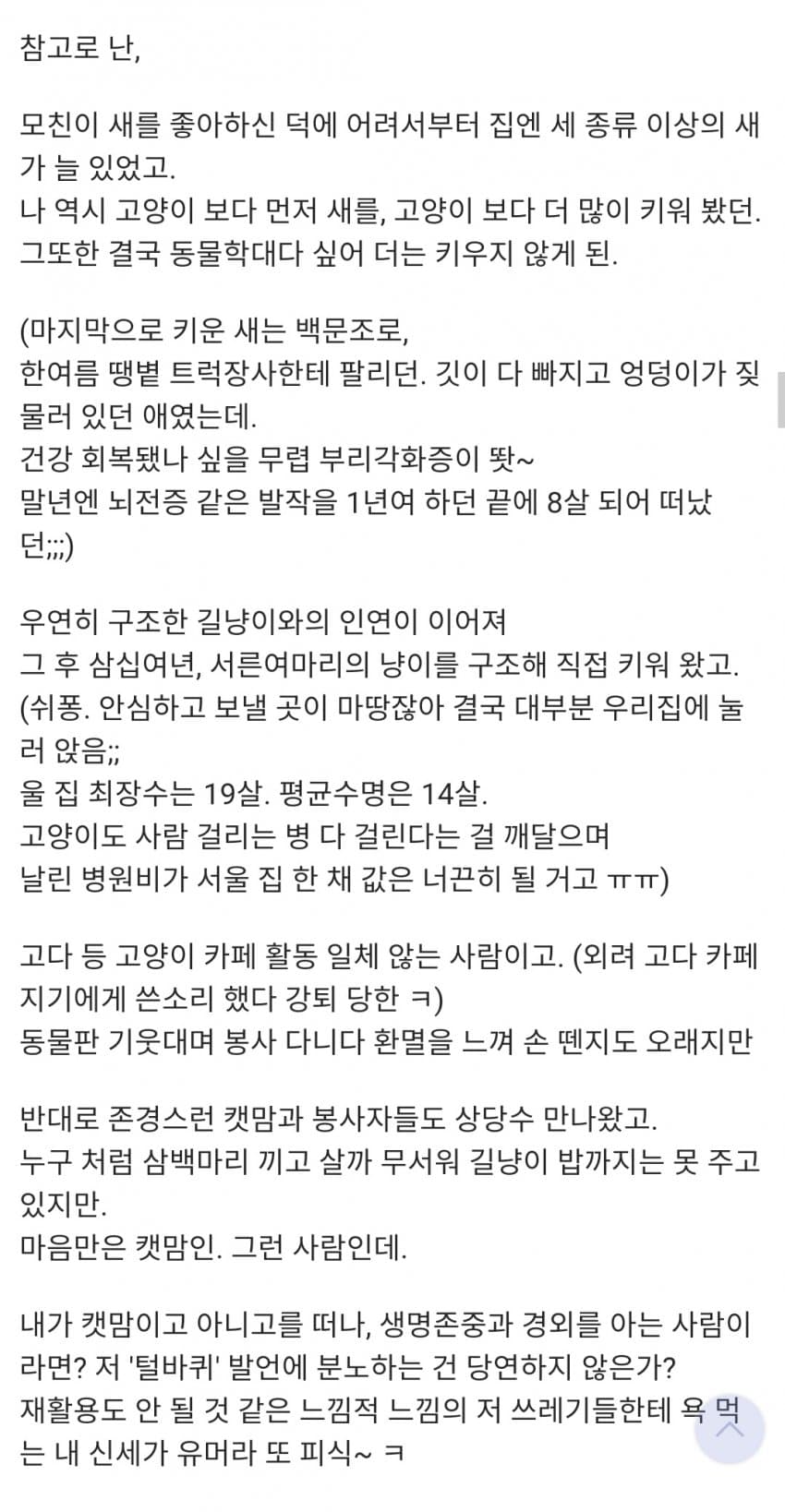 DC) 고양이를 털바퀴라 부르지마!