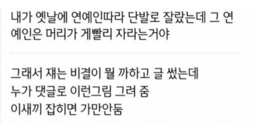 연예인이 머리가 빨리 자라는 이유