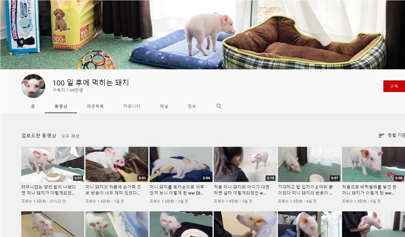 어느 특이 컨셉의 일본 유튜버.