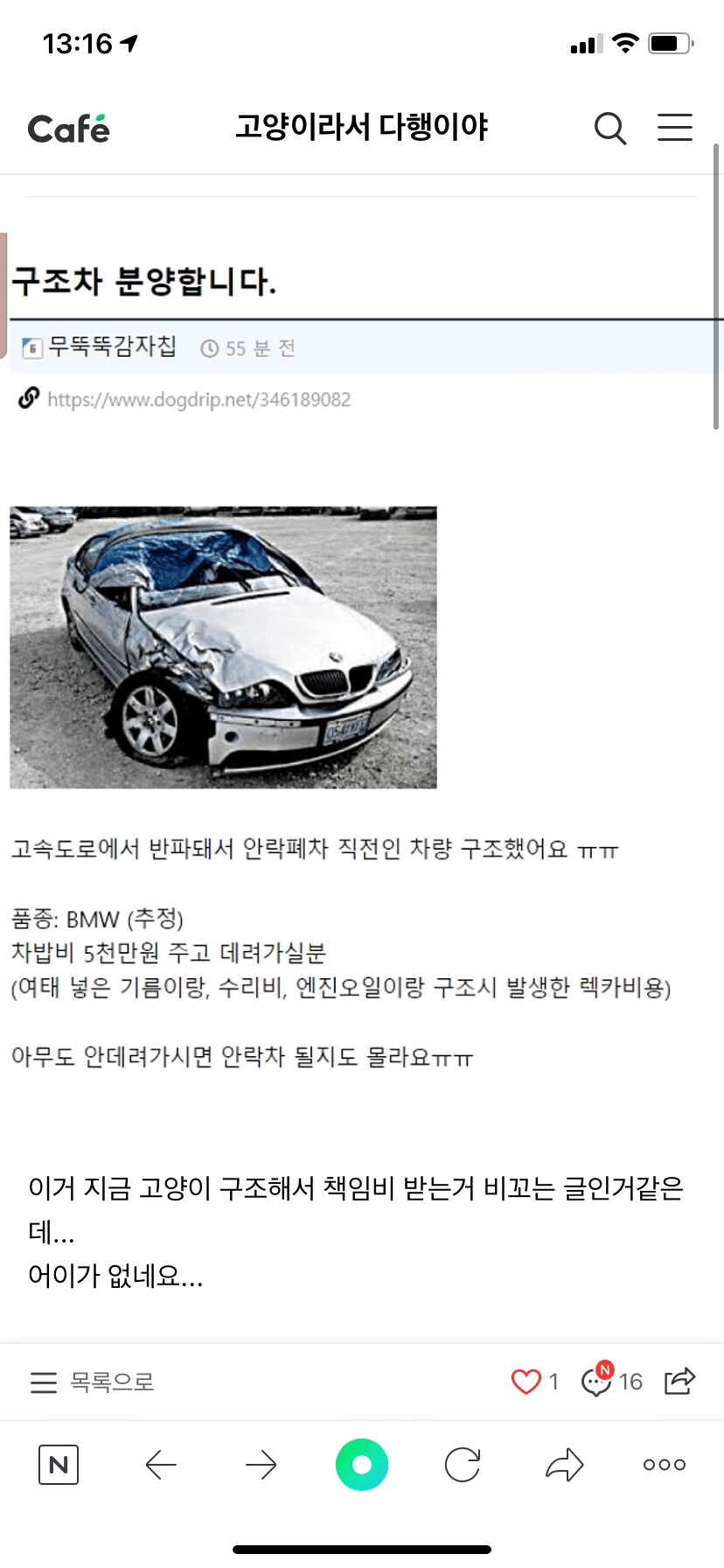 캣맘식 차량판매