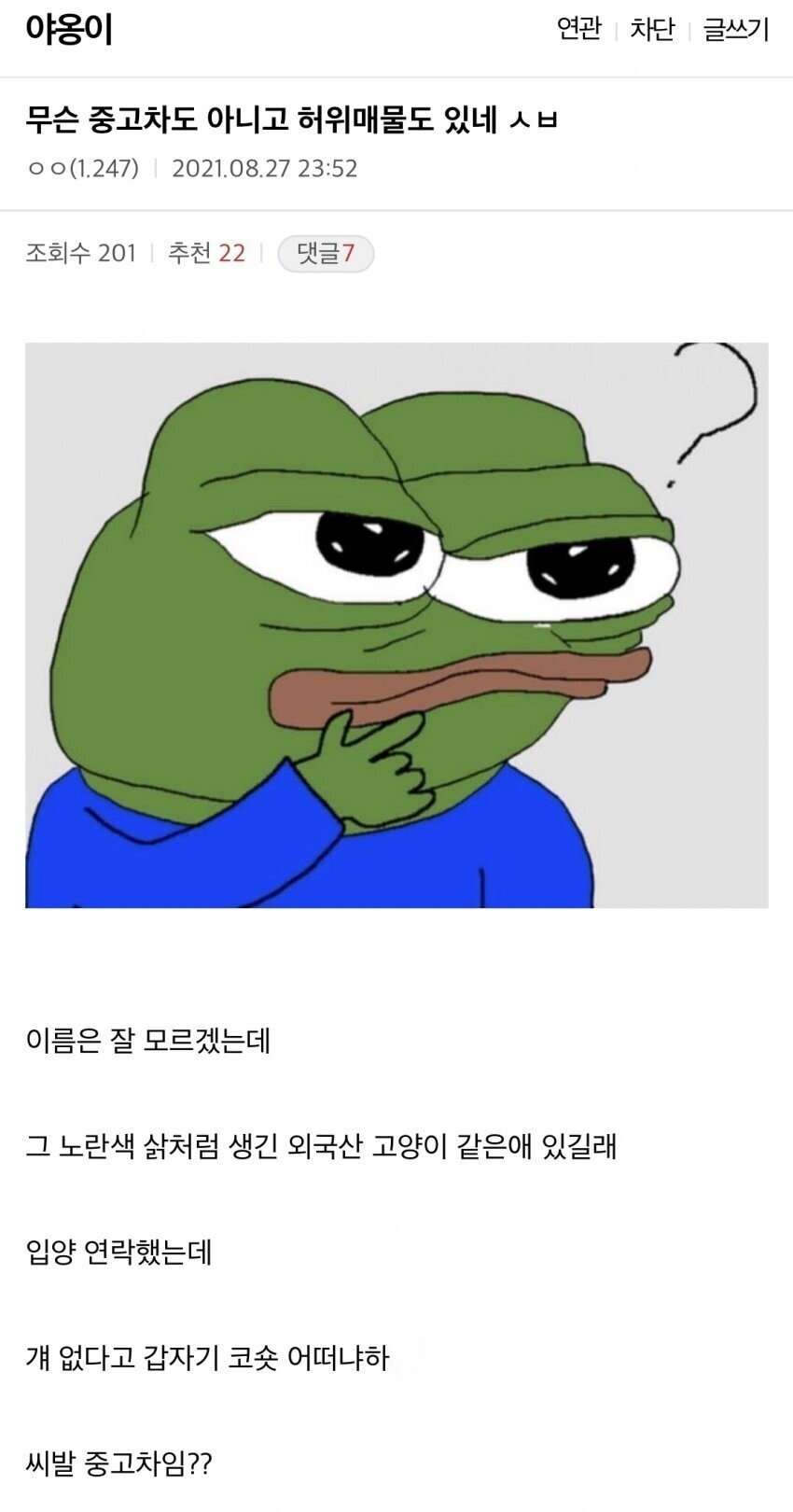 고양이 허위매물