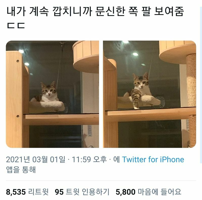 문신 보여주며 위협하는 양아치