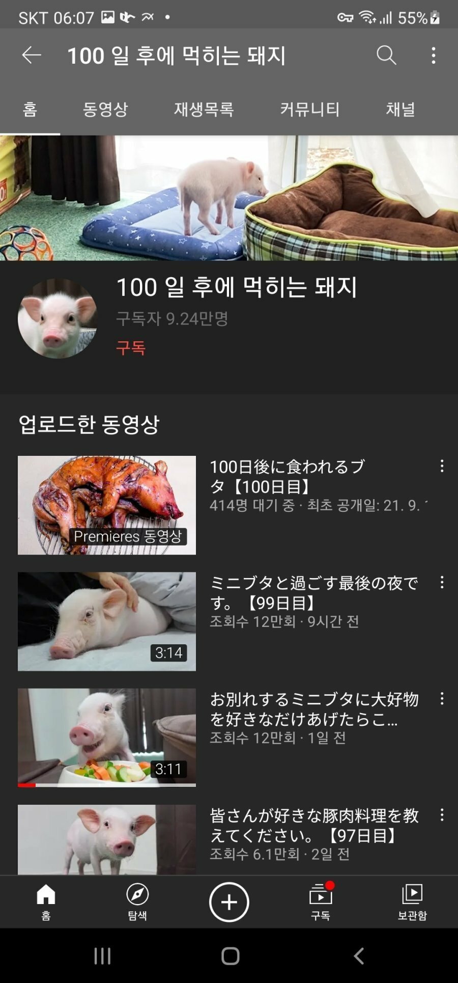 100일 돼지 결말