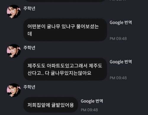 ???  제주도집에 귤나무가 있을거란 건 편견이야