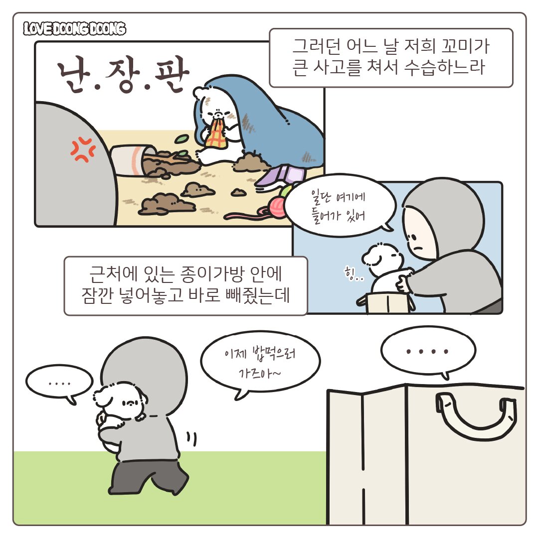 종이 가방속이 아늑했던 댕댕이.jpg