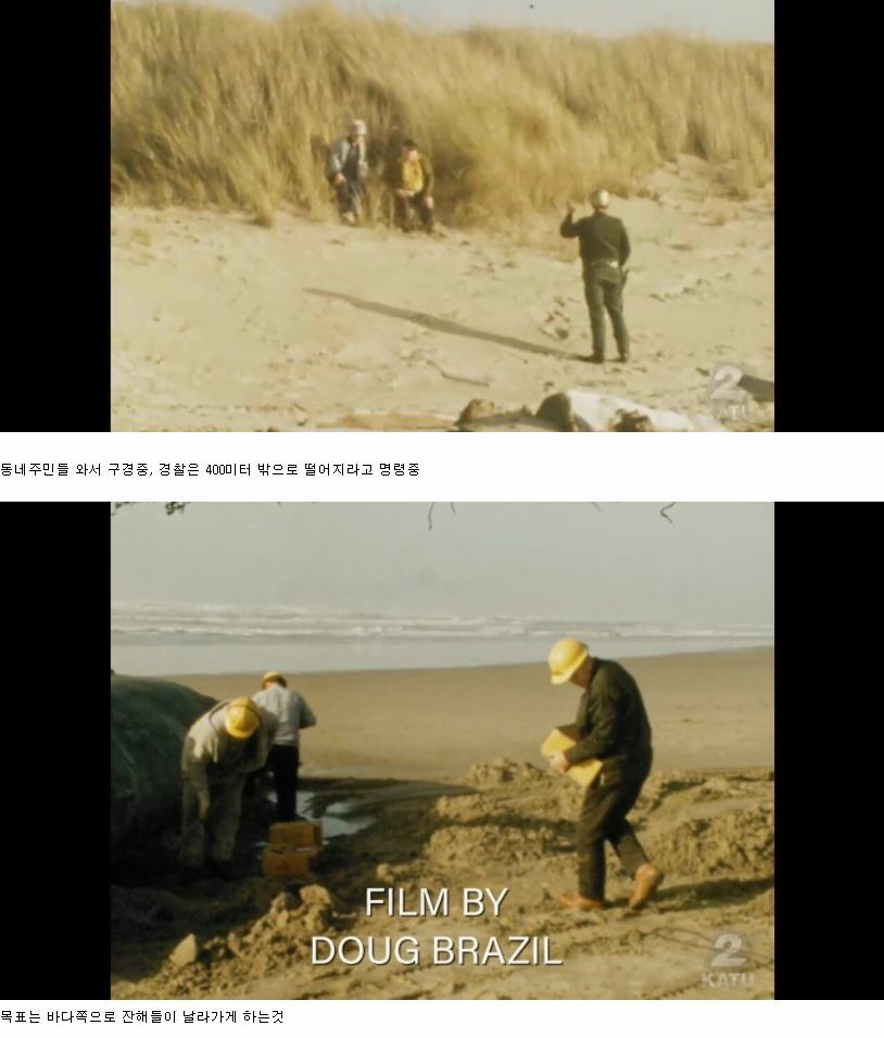 1970년 미국 해변으로 떠내려온 고래 사체