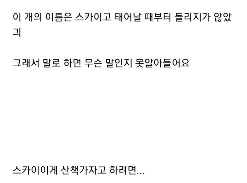 귀가 안들리는 개에게 산책 가자고 하는 방법.