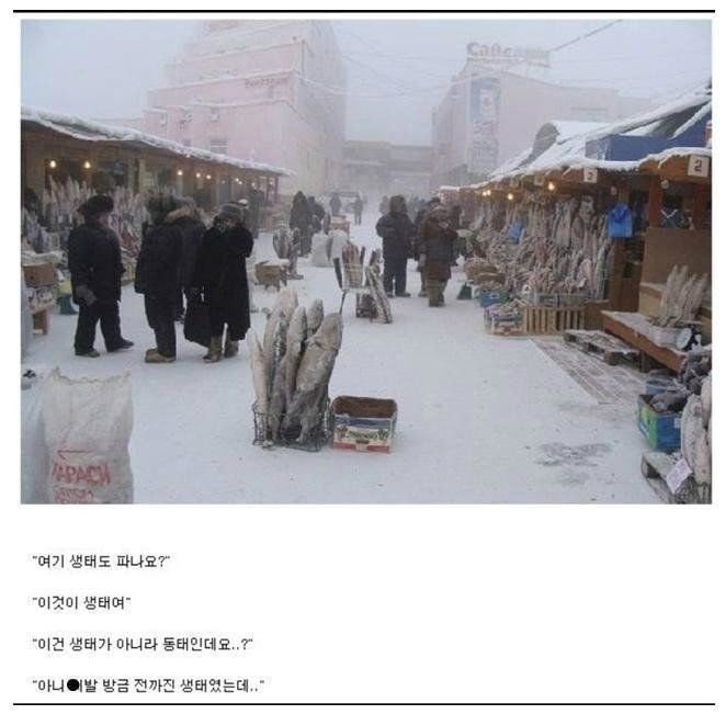 러시아 수산시장