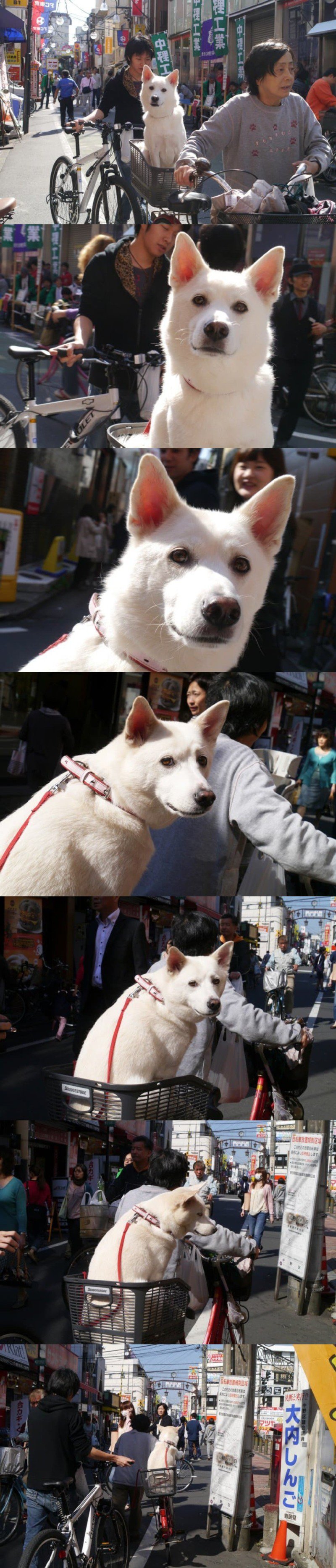 길에서 우연히 옛 연인과 마주쳤다