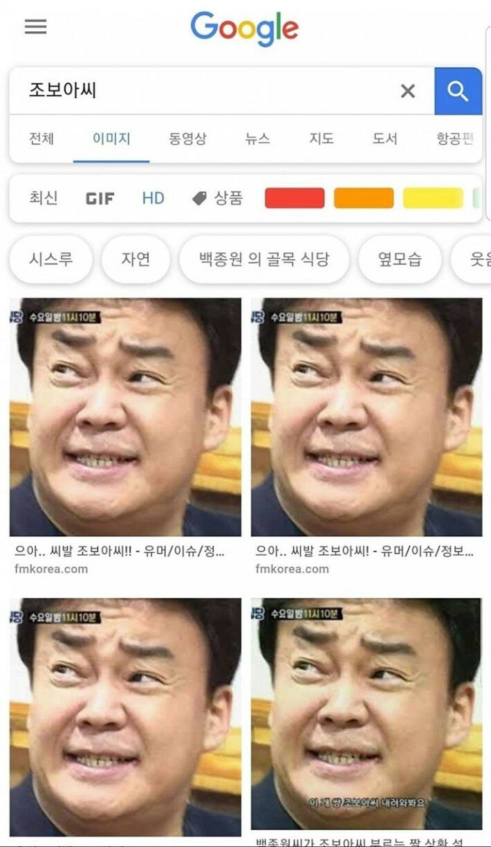 조보아와 조보아씨의 차이