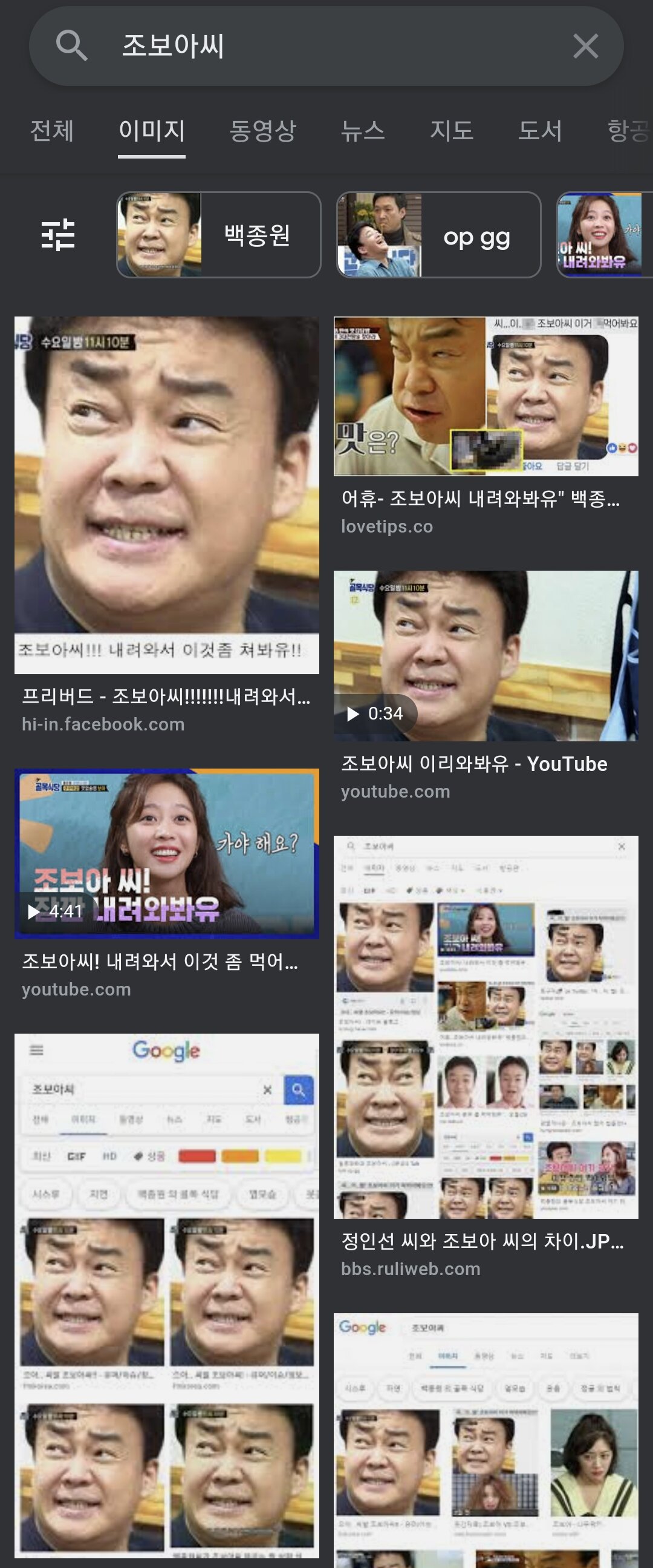 조보아