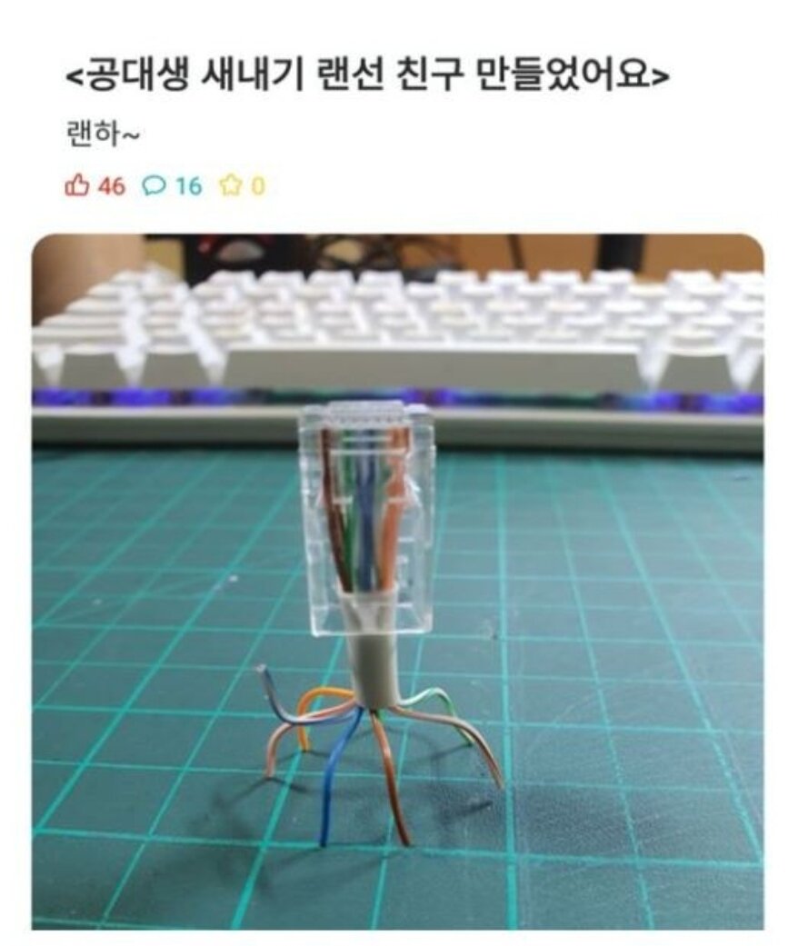 어느 공대생의 랜선친구