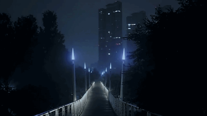 한 유튜버가 촬영하면서 정말 무서웠다는 새벽 2시 서울숲 풍경